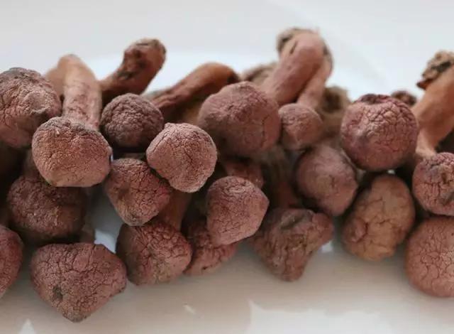 國(guó)家蘑菇地理：中國(guó)哪里的蘑菇最好吃？