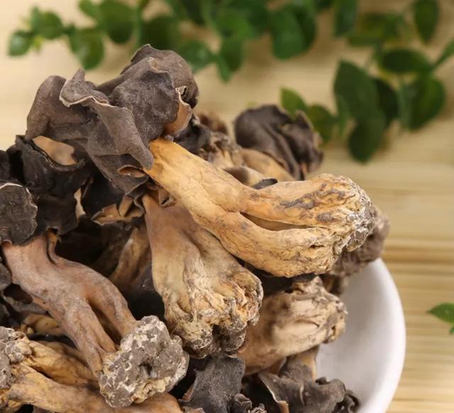 國(guó)家蘑菇地理：中國(guó)哪里的蘑菇最好吃？