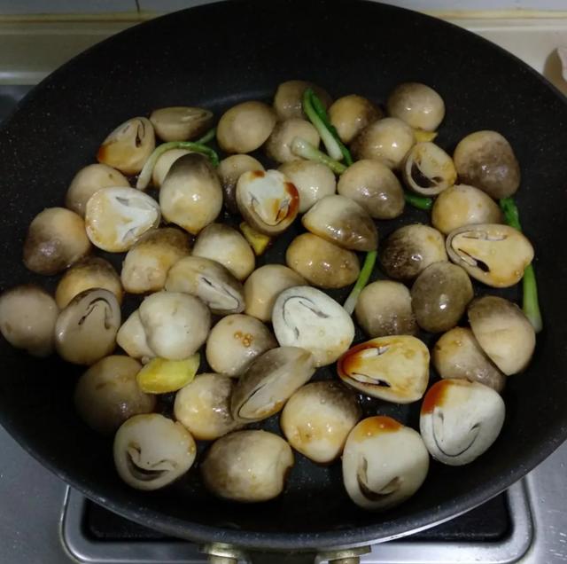國(guó)家蘑菇地理：中國(guó)哪里的蘑菇最好吃？