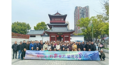 專題報(bào)道